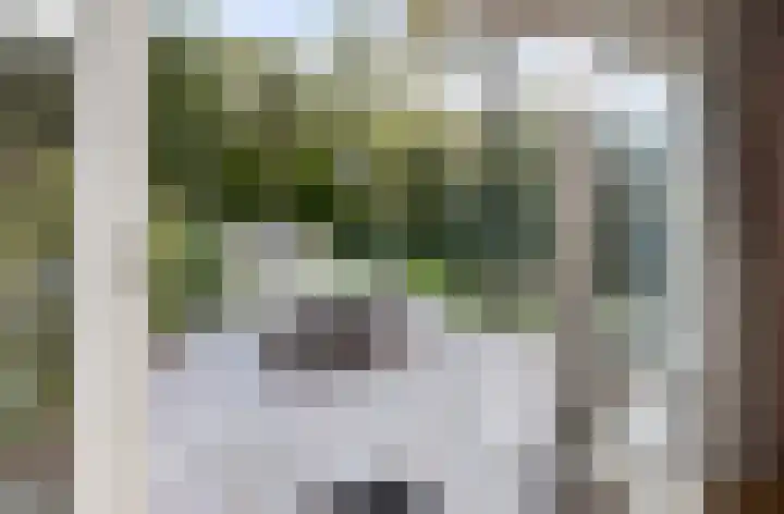 Brederodelaan 51 a Bloemendaal thumbnail 6