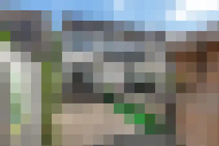 Brederodelaan 58 Veenendaal thumbnail 13