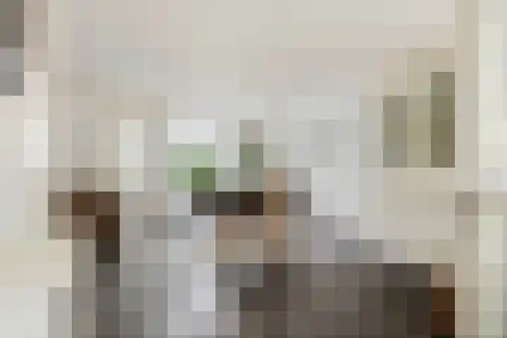 Brederodelaan 58 Veenendaal thumbnail 7