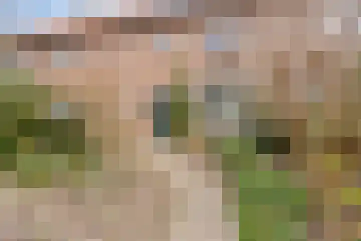 Brederodelaan 6 Deventer thumbnail 4