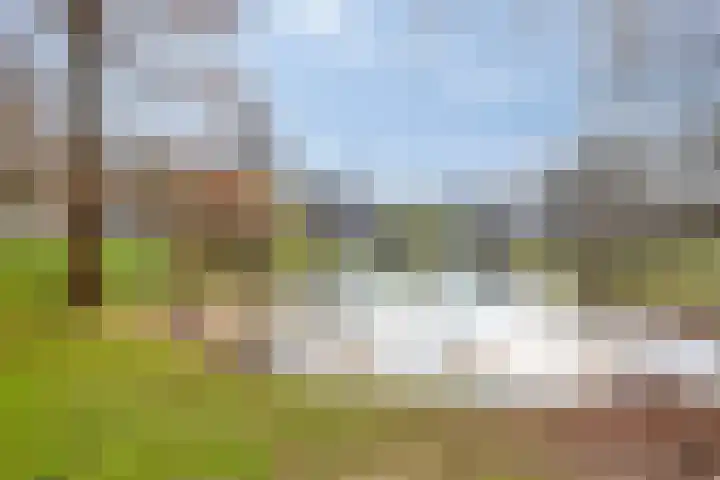 Brederodelaan 6 Deventer thumbnail 46
