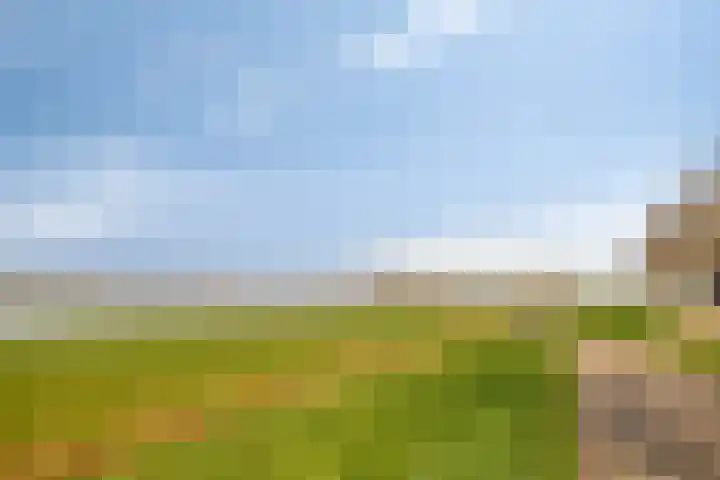 Brederodelaan 6 Deventer thumbnail 47
