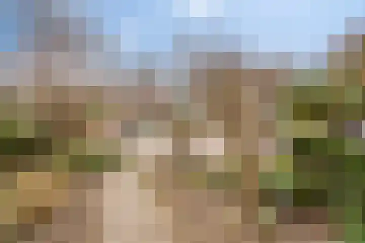 Brederodelaan 6 Deventer thumbnail 5