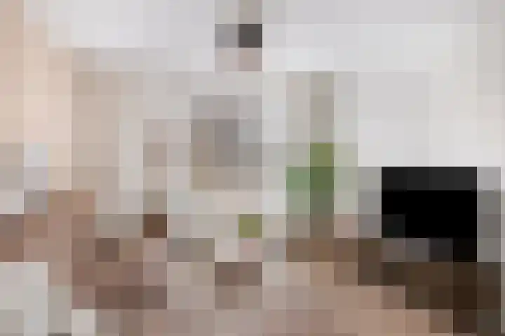 Brederodelaan 6 Deventer thumbnail 7