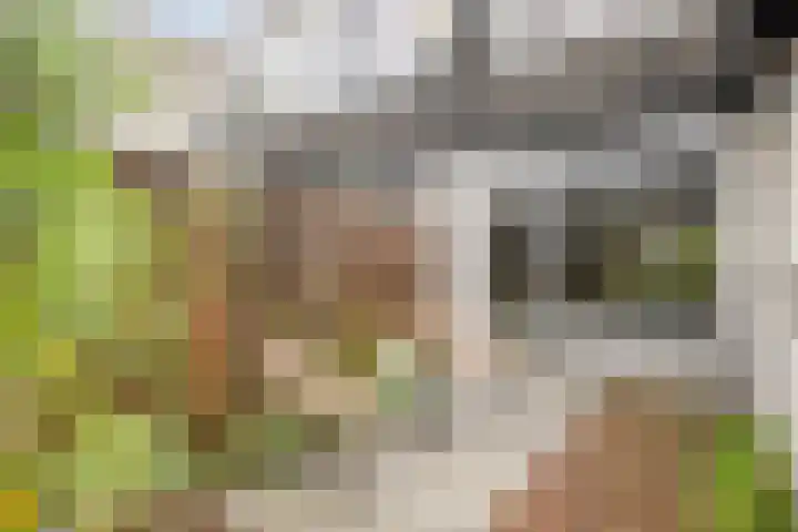 Brederodelaan 62 Veenendaal thumbnail 26