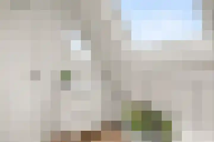 Brederodelaan 66 Veenendaal thumbnail 17