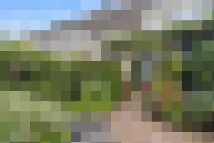 Brederodelaan 66 Veenendaal thumbnail 33