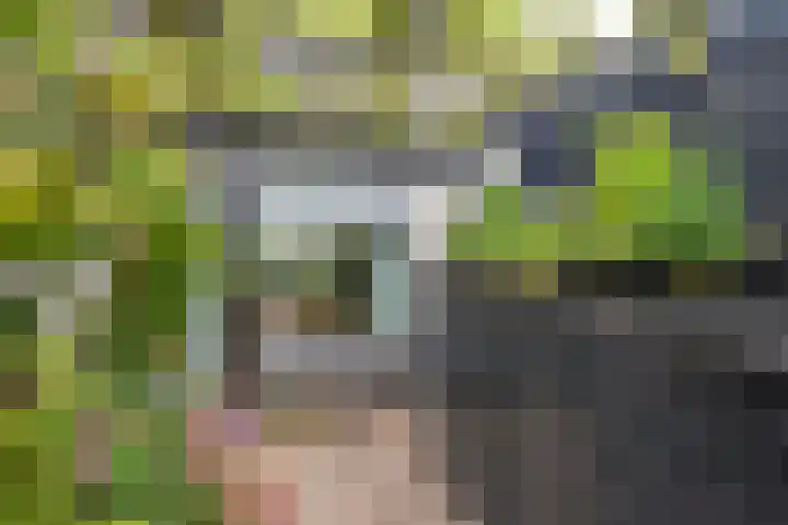 Brederodelaan 66 Veenendaal thumbnail 34