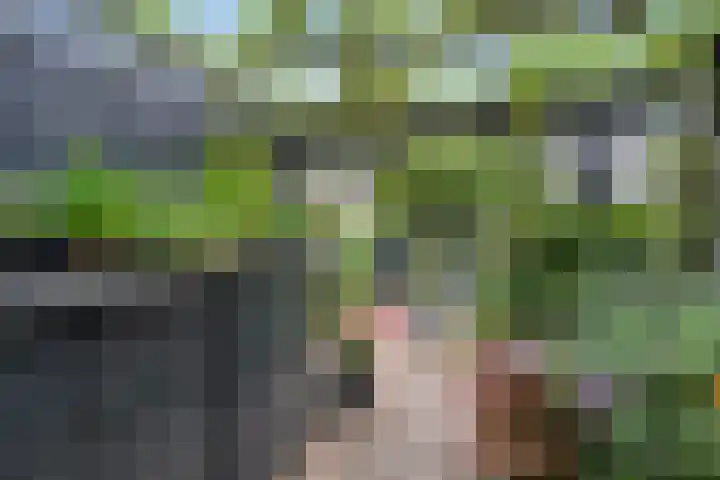 Brederodelaan 66 Veenendaal thumbnail 35
