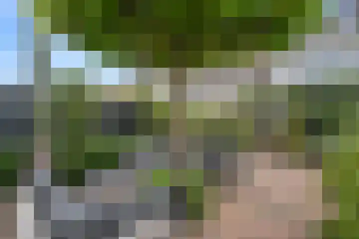 Brederodelaan 66 Veenendaal thumbnail 36