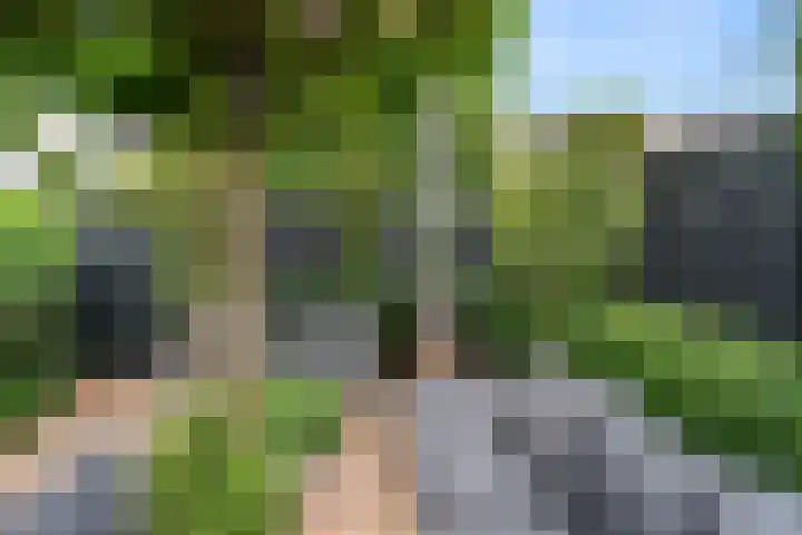 Brederodelaan 66 Veenendaal thumbnail 37