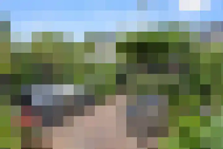 Brederodelaan 66 Veenendaal thumbnail 38