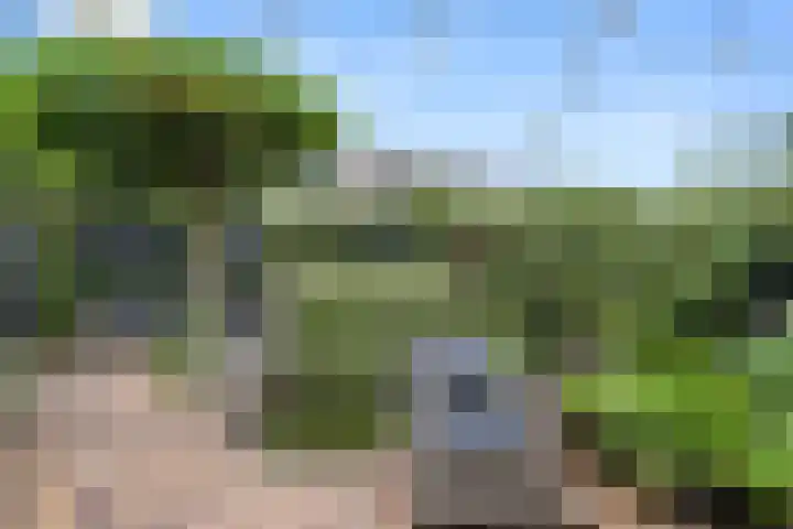 Brederodelaan 66 Veenendaal thumbnail 39