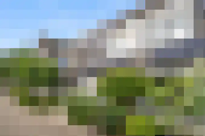 Brederodelaan 66 Veenendaal thumbnail 41