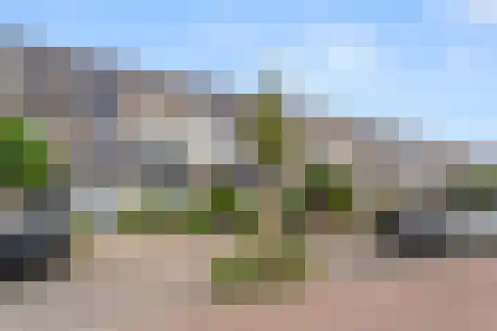 Brederodelaan 66 Veenendaal thumbnail 43