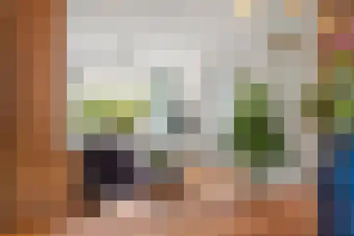 Brederodelaan 66 Veenendaal thumbnail 9