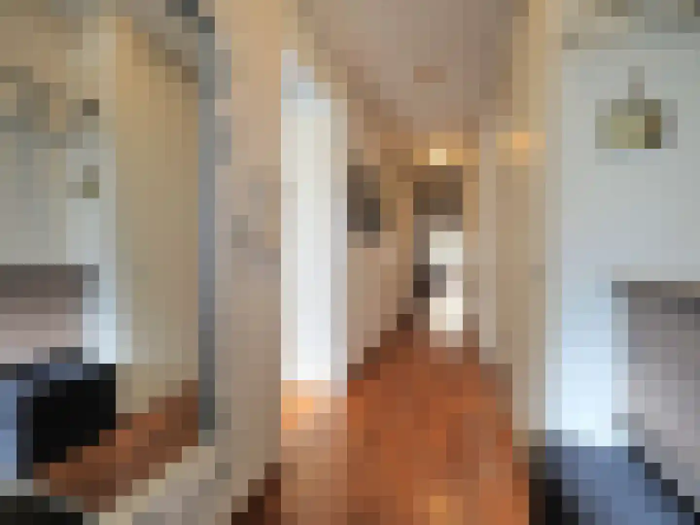 Brederodelaan 68 Papendrecht thumbnail 11