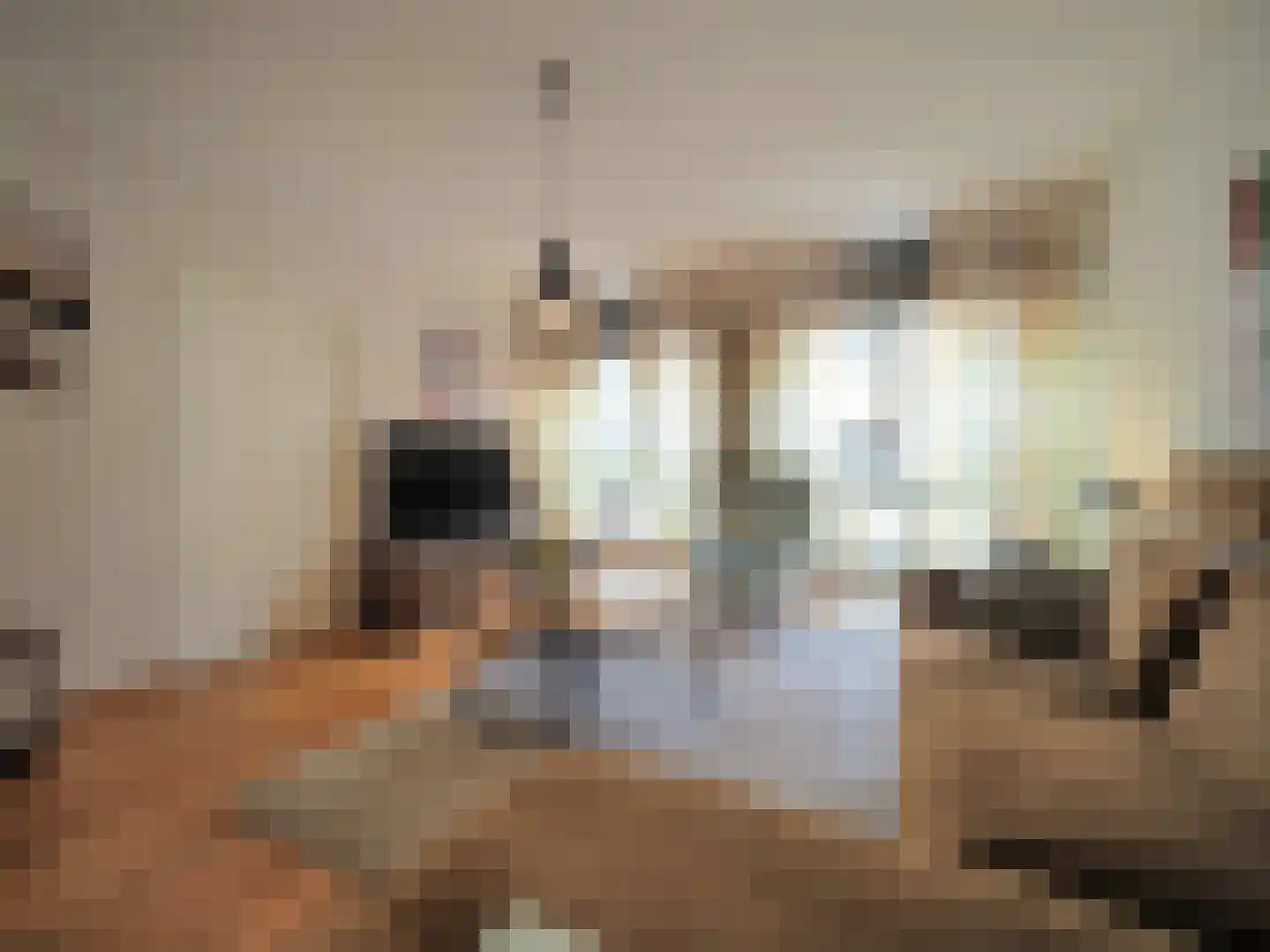Brederodelaan 68 Papendrecht thumbnail 17