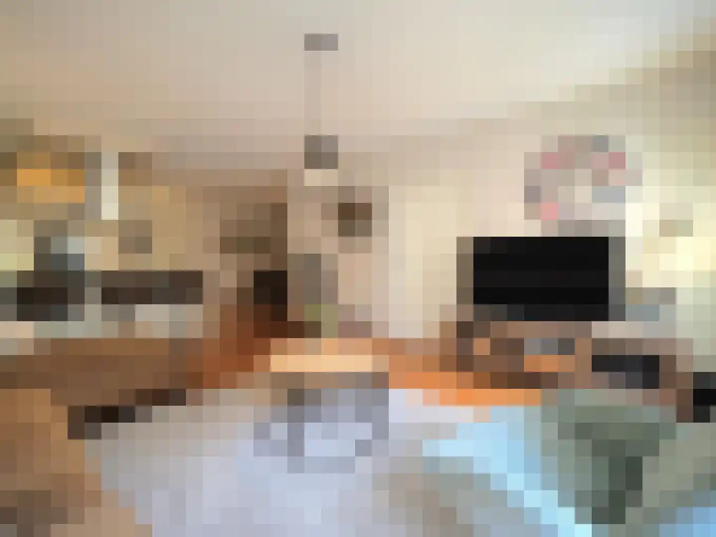 Brederodelaan 68 Papendrecht thumbnail 18