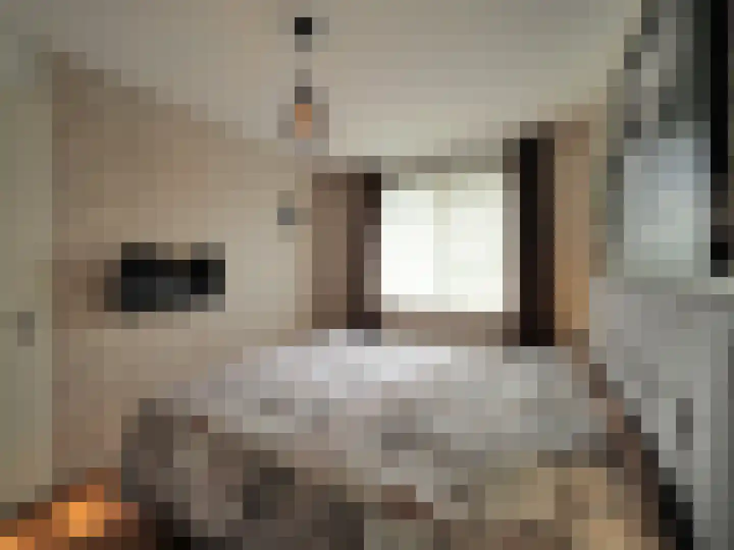 Brederodelaan 68 Papendrecht thumbnail 28