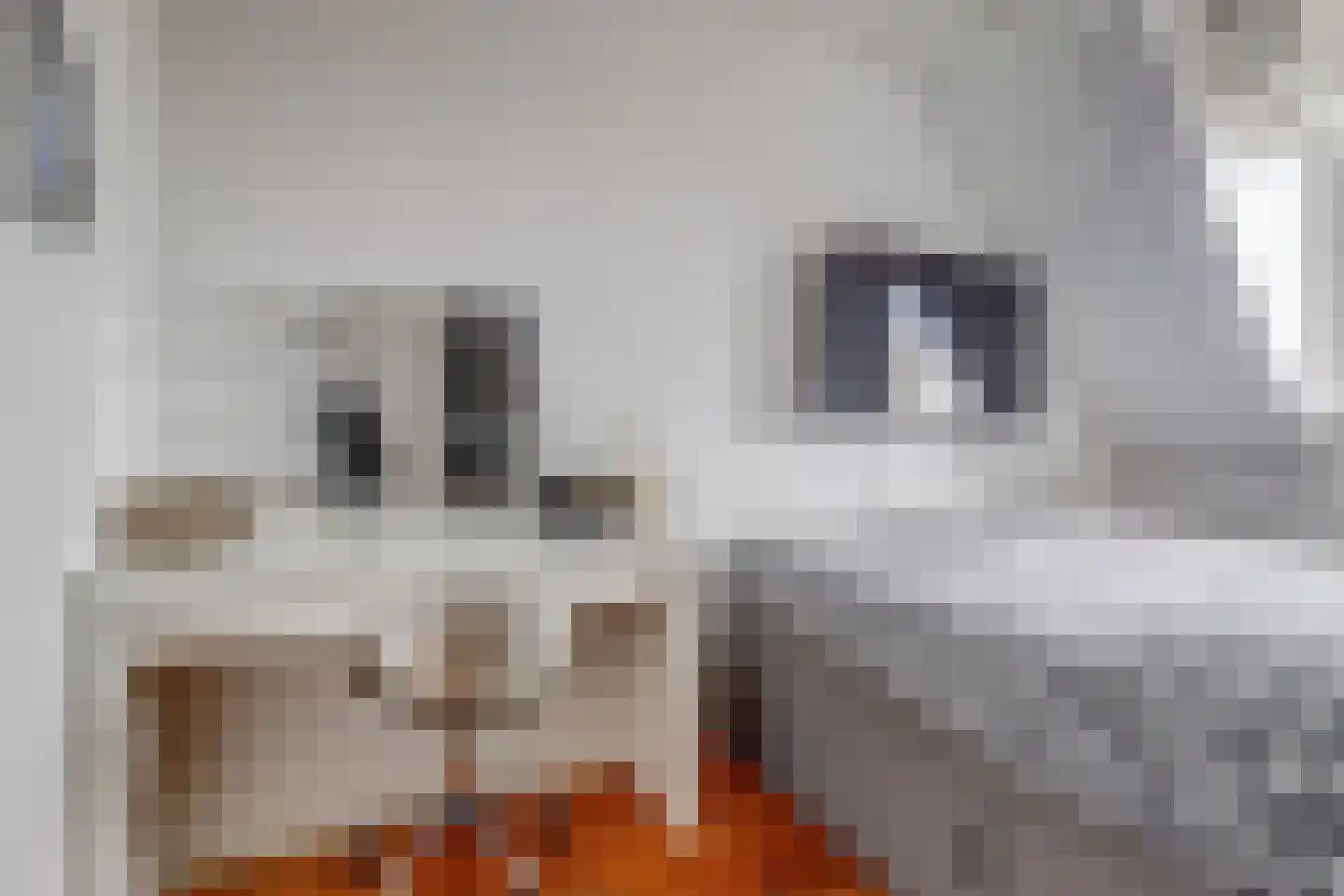 Brederodelaan 68 Papendrecht thumbnail 30