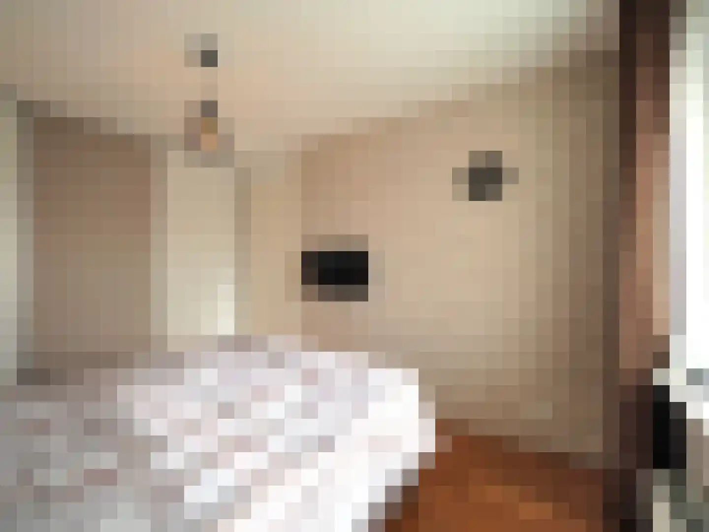 Brederodelaan 68 Papendrecht thumbnail 30