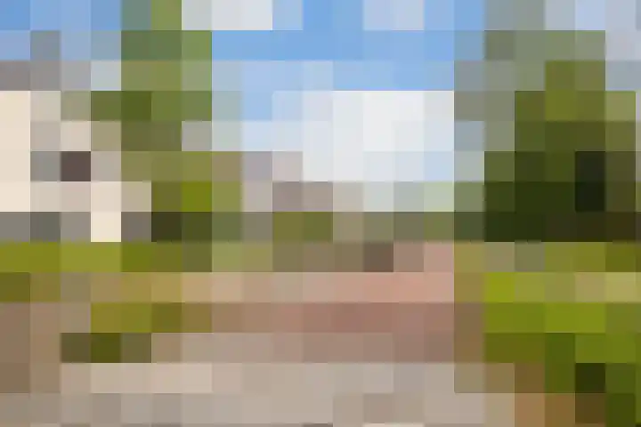 Brederodelaan 68 Veenendaal thumbnail 17