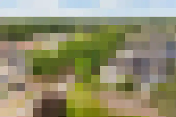 Brederodelaan 68 Veenendaal thumbnail 19