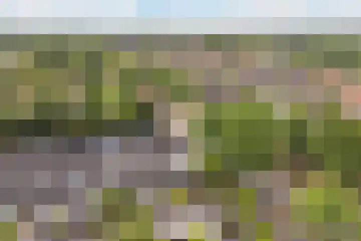Brederodelaan 68 Veenendaal thumbnail 20