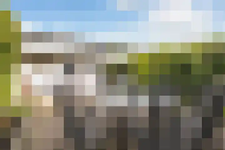 Brederodelaan 68 Veenendaal thumbnail 31