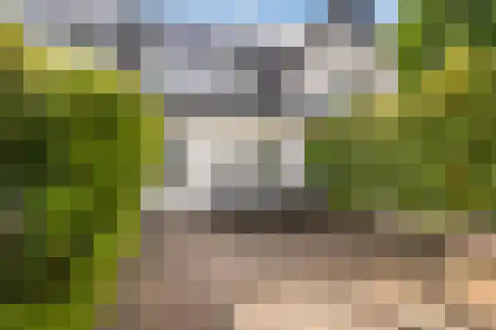 Brederodelaan 68 Veenendaal thumbnail 32