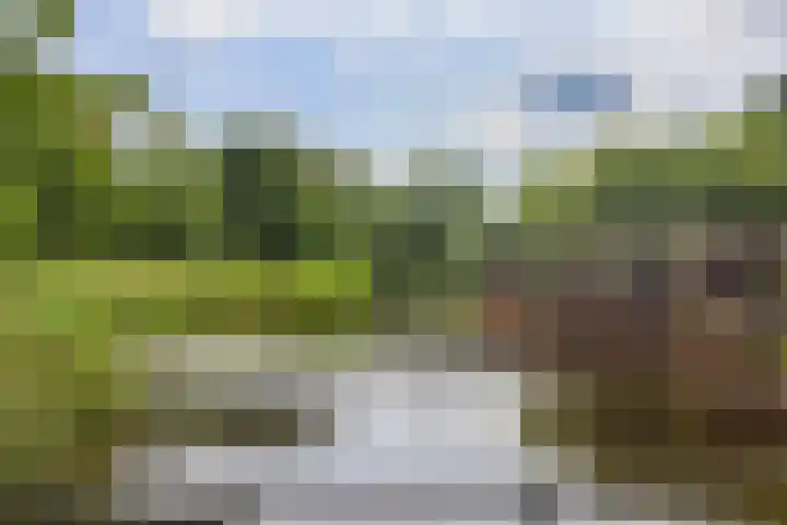 Brederodelaan 68 Veenendaal thumbnail 34