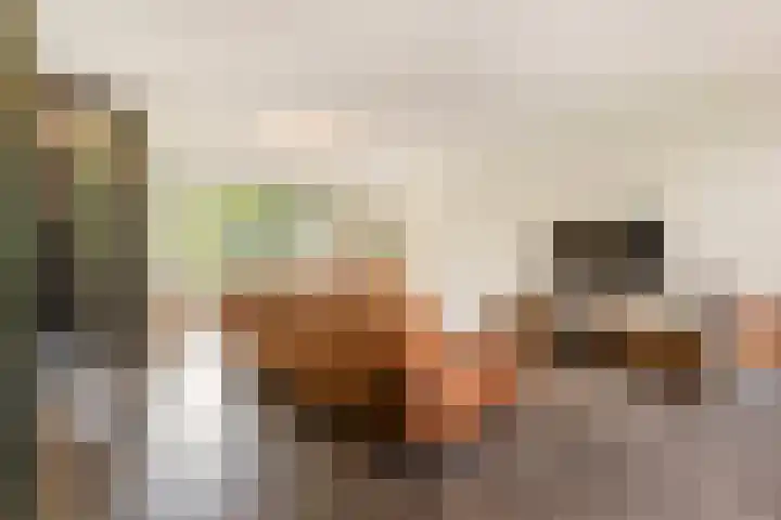 Brederodelaan 68 Veenendaal thumbnail 5