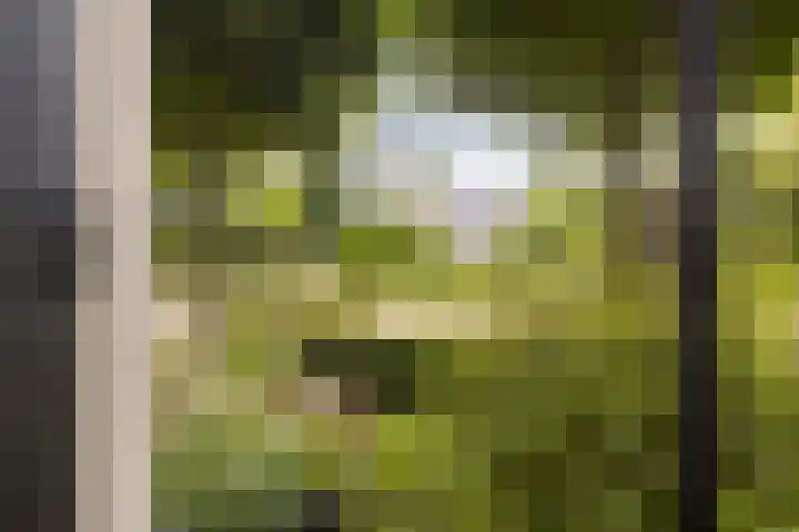 Brederodelaan 68 Veenendaal thumbnail 6