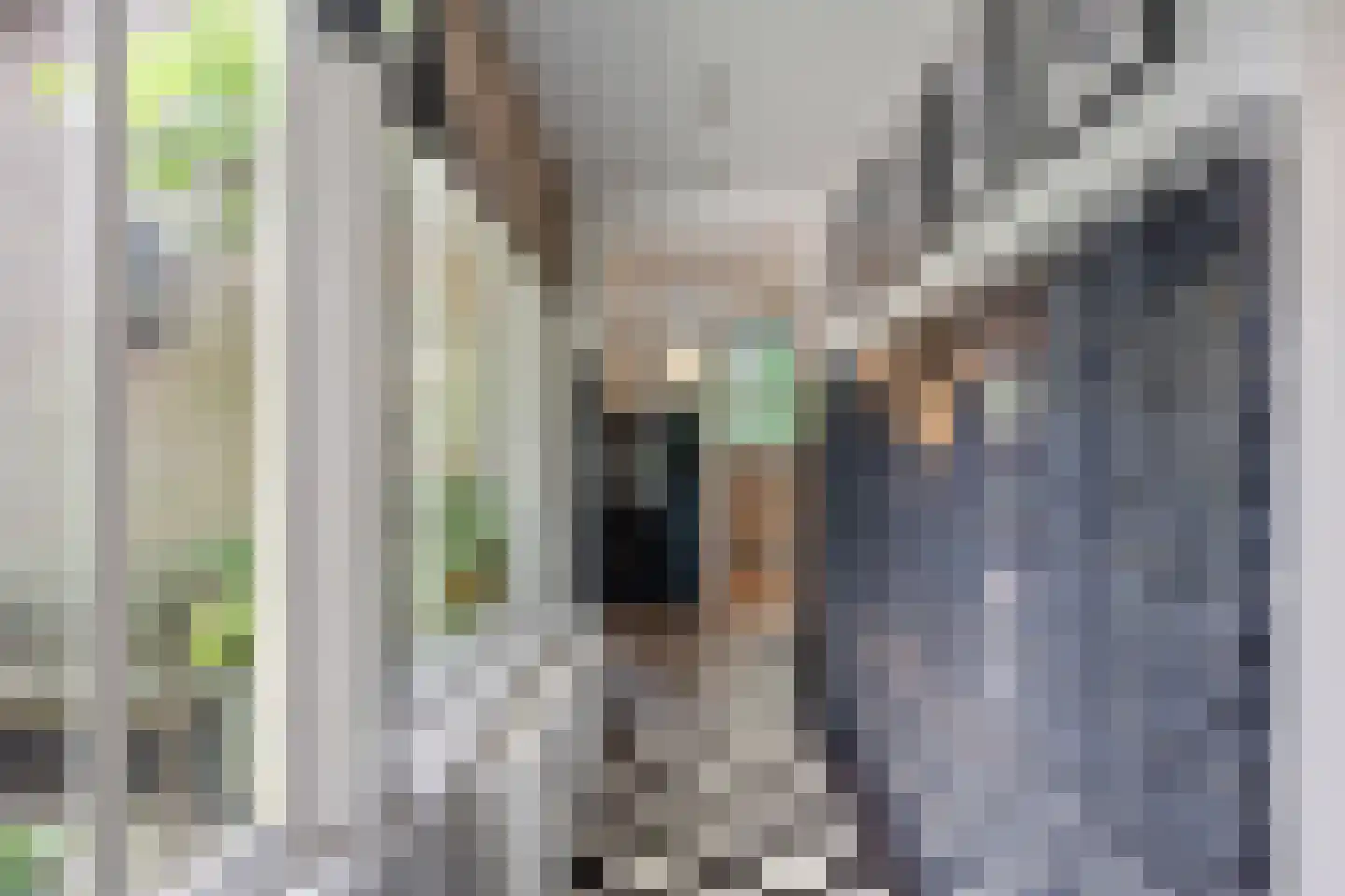 Brederodelaan 77 Bloemendaal thumbnail 25