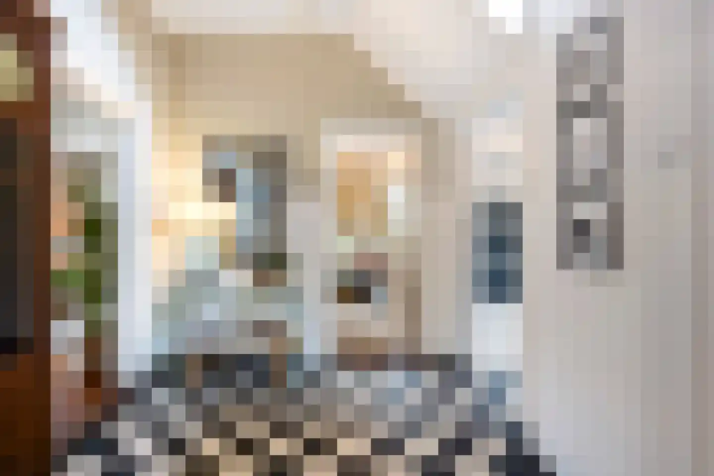 Brederodelaan 77 Bloemendaal thumbnail 30