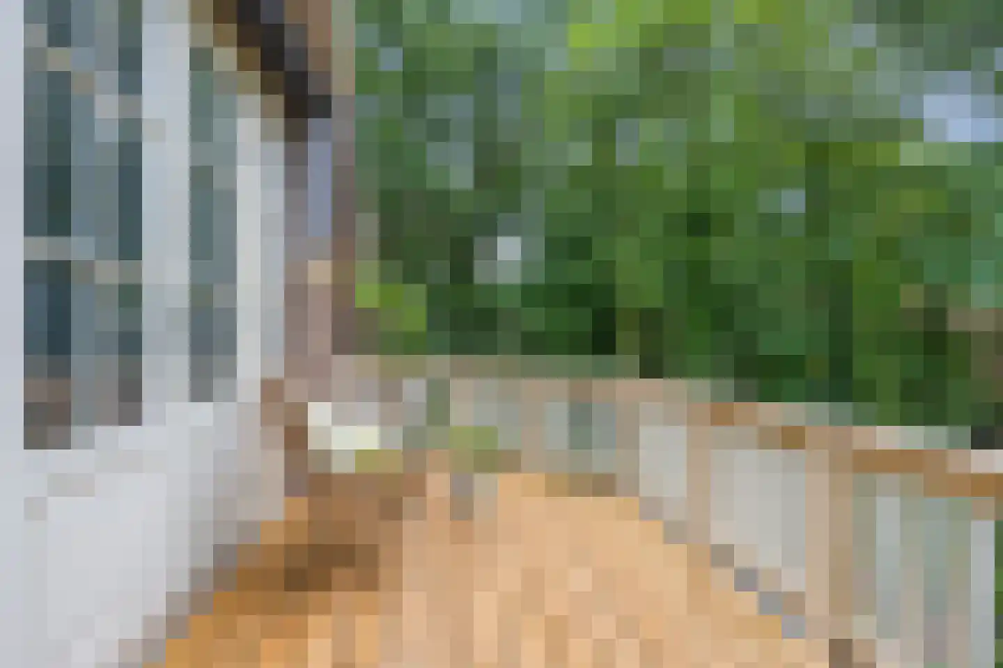 Brederodelaan 77 Bloemendaal thumbnail 45