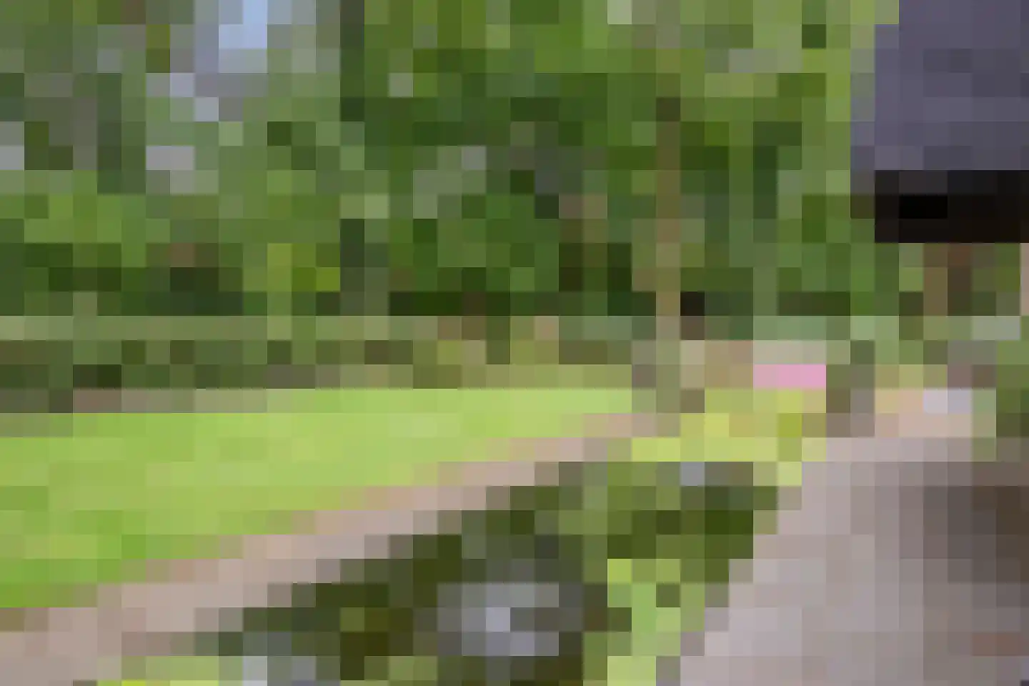 Brederodelaan 77 Bloemendaal thumbnail 50