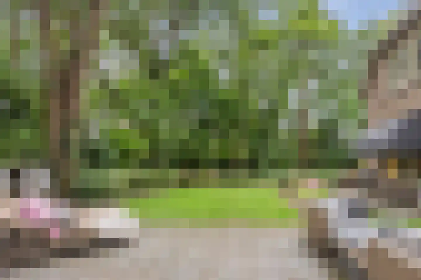 Brederodelaan 77 Bloemendaal thumbnail 51