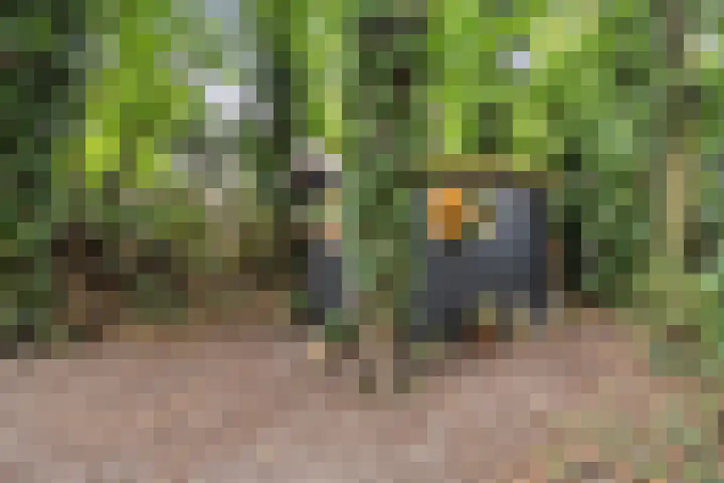 Brederodelaan 77 Bloemendaal thumbnail 56