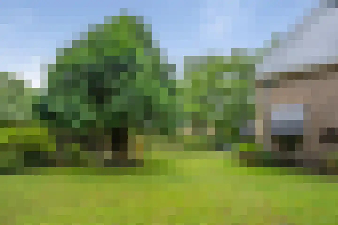 Brederodelaan 77 Bloemendaal thumbnail 60