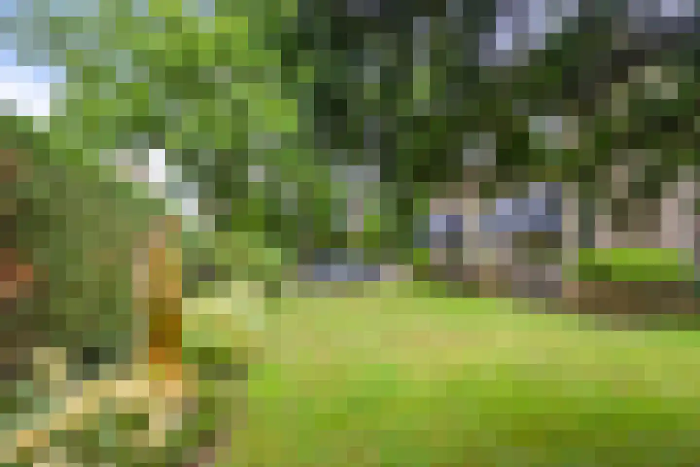 Brederodelaan 77 Bloemendaal thumbnail 61