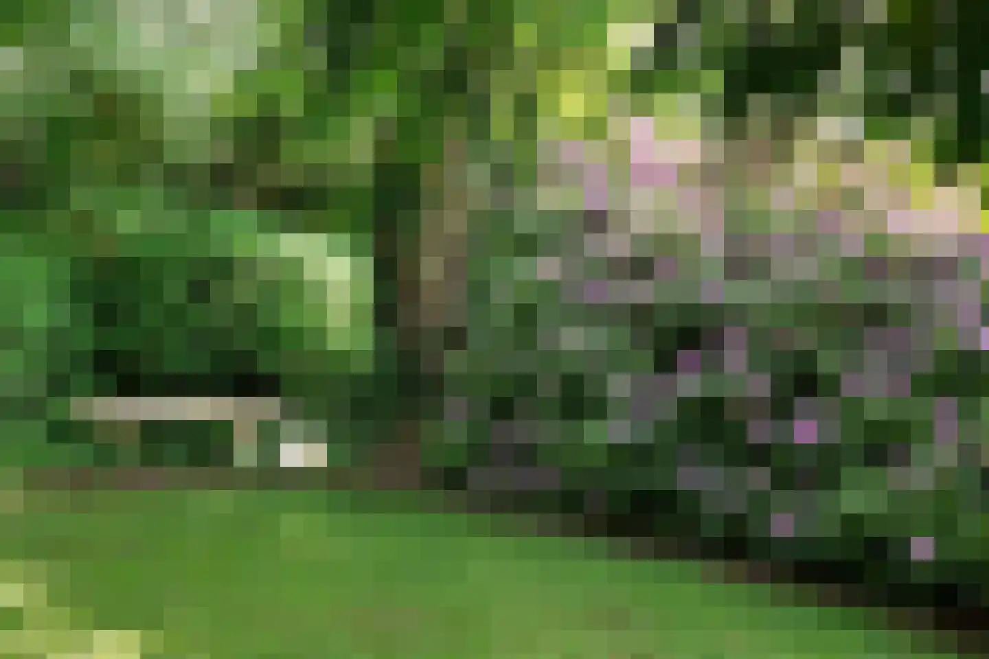 Brederodelaan 77 Bloemendaal thumbnail 65