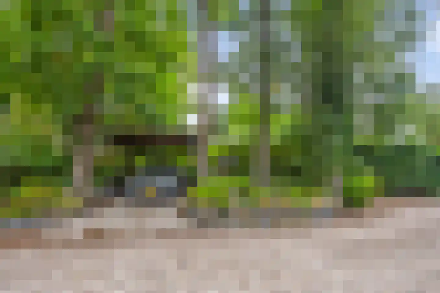 Brederodelaan 77 Bloemendaal thumbnail 66
