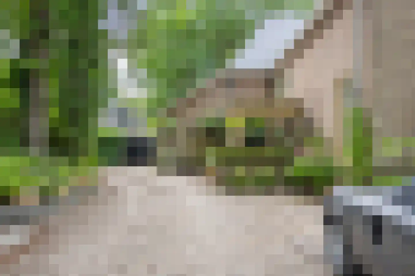 Brederodelaan 77 Bloemendaal thumbnail 67
