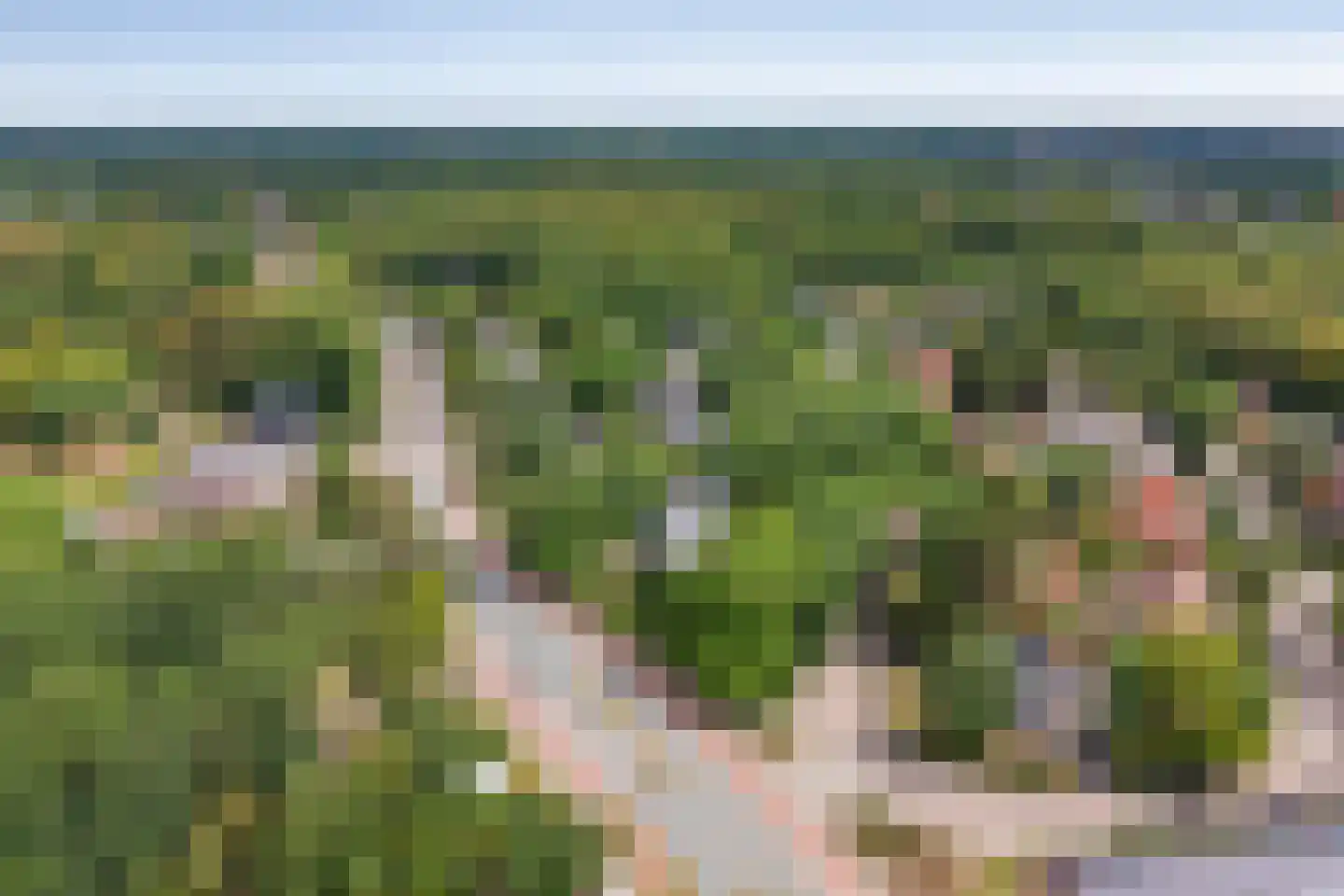 Brederodelaan 77 Bloemendaal thumbnail 71