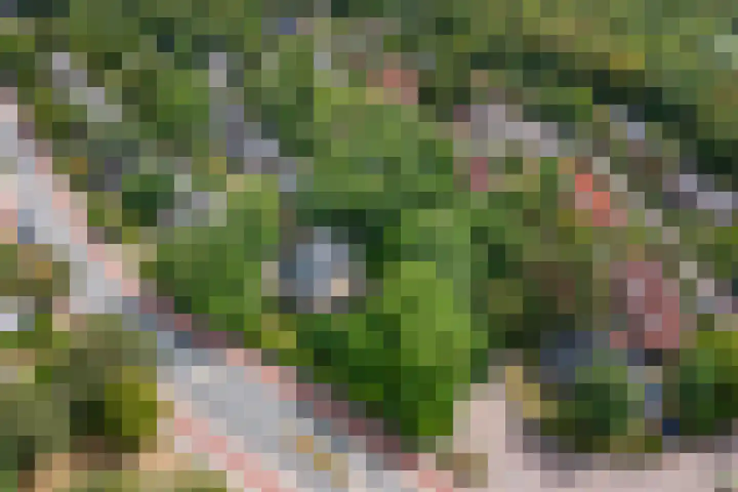 Brederodelaan 77 Bloemendaal thumbnail 72