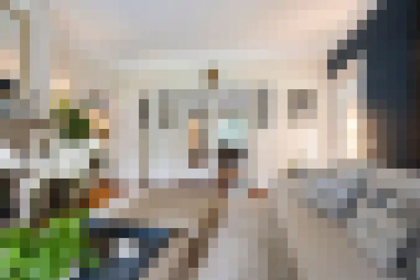 Brederodelaan 77 Bloemendaal thumbnail 8