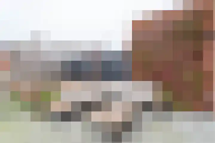 Brederodepeer 14 Boskoop thumbnail 10