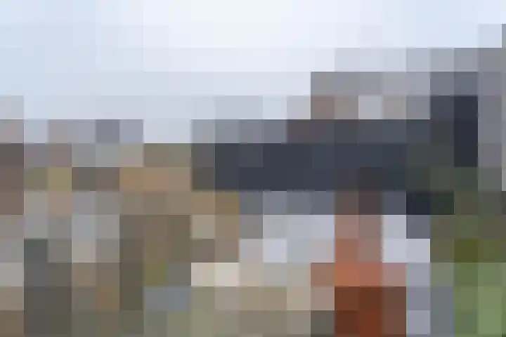 Brederodepeer 14 Boskoop thumbnail 11